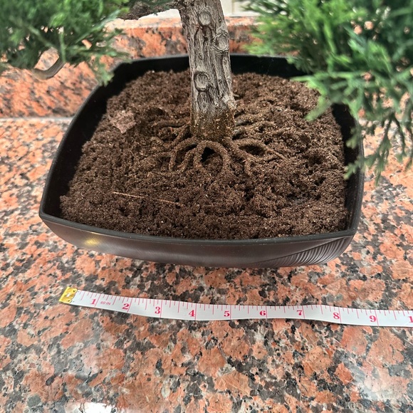 Artificial Elegant Bonsai Pine Tree Plastic Simulation Potted Plant Decorative - Picture 9 of 16